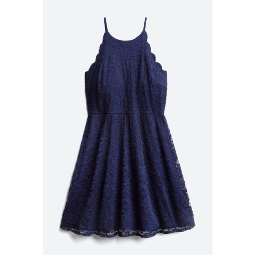 NWT Fortune & Ivy Scalloped Lace Fit & Flare Dress